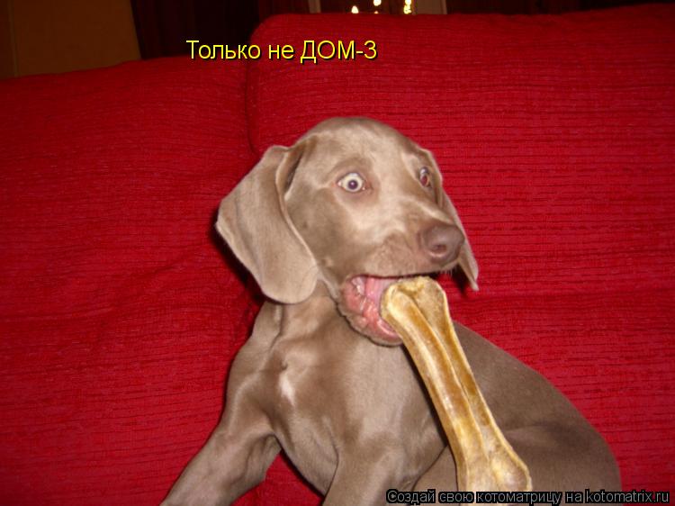 Только не ДОМ-3... Котоматрица: Только не ДОМ-3