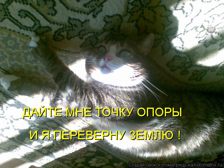 ДАЙТЕ МНЕ ТОЧКУ ОПОРЫ И Я ПЕРЕВЕРНУ ЗЕМЛЮ !... Котоматрица: ДАЙТЕ МНЕ ТОЧКУ ОПОРЫ И Я ПЕРЕВЕРНУ ЗЕМЛЮ !