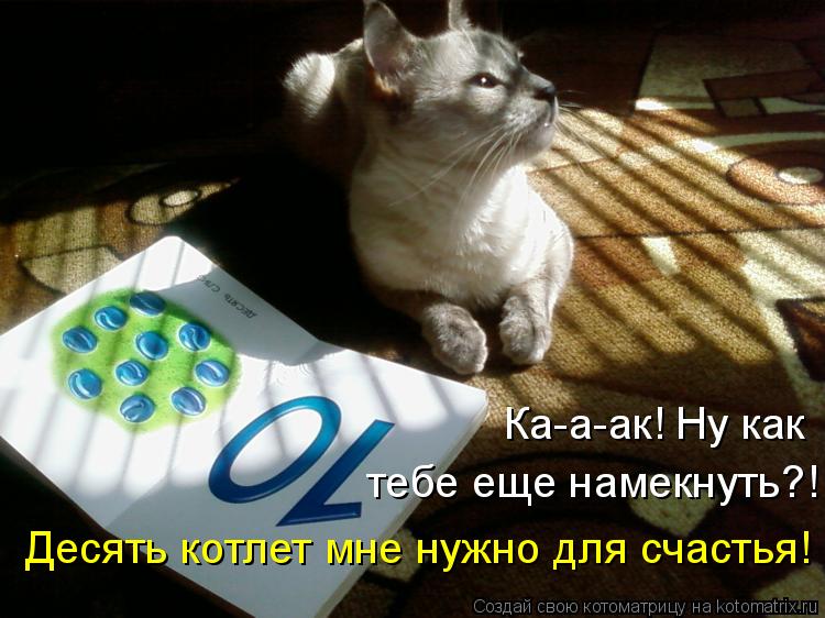 Ка-а-ак! Ну как тебе еще намекнуть?! Десять котлет мне нужно для счастья!... Котоматрица: Ка-а-ак! Ну как тебе еще намекнуть?! Десять котлет мне нужно для счастья!