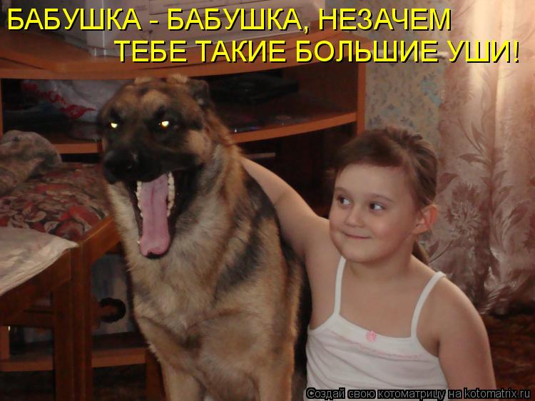 БАБУШКА - БАБУШКА, НЕЗАЧЕМ ТЕБЕ ТАКИЕ БОЛЬШИЕ УШИ!... Котоматрица: БАБУШКА - БАБУШКА, НЕЗАЧЕМ ТЕБЕ ТАКИЕ БОЛЬШИЕ УШИ!