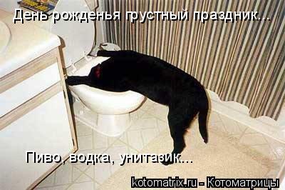 День рожденья грустный праздник... Пиво, водка, унитазик...... Котоматрица: День рожденья грустный праздник... Пиво, водка, унитазик...
