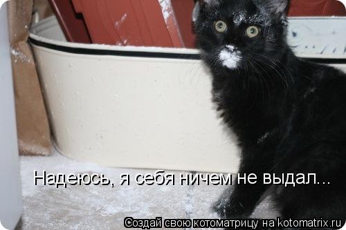 Надеюсь, я себя ничем не выдал...... Котоматрица: Надеюсь, я себя ничем не выдал...
