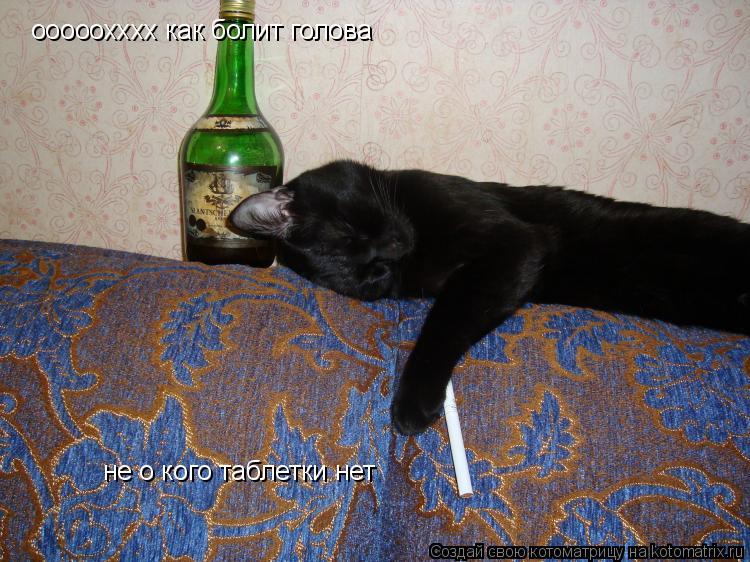 ооооохххх как болит голова не о кого таблетки нет... Котоматрица: ооооохххх как болит голова не о кого таблетки нет