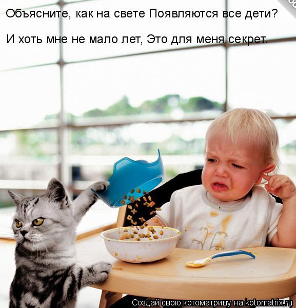 Объясните, как на свете Появляются все дети? И хоть мне не мало лет, Это для меня секрет.... Котоматрица: Объясните, как на свете Появляются все дети? И хоть мне не мало лет, Это для меня секрет.