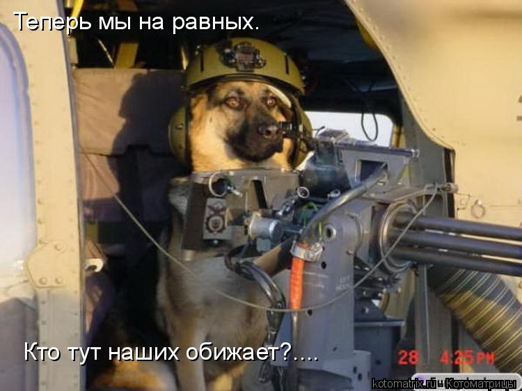 Теперь мы на равных. Кто тут наших обижает?....... Котоматрица: Теперь мы на равных. Кто тут наших обижает?....