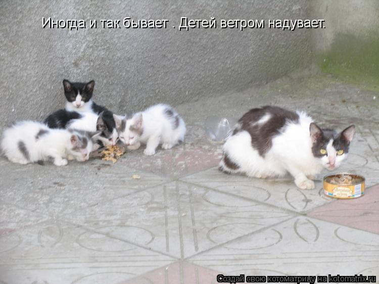 Иногда и так бывает – Детей ветром надувает…... Котоматрица: Иногда и так бывает – Детей ветром надувает…