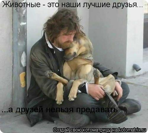 Животные - это наши лучшие друзья... ...а друзей нельзя предавать... Котоматрица: Животные - это наши лучшие друзья... ...а друзей нельзя предавать