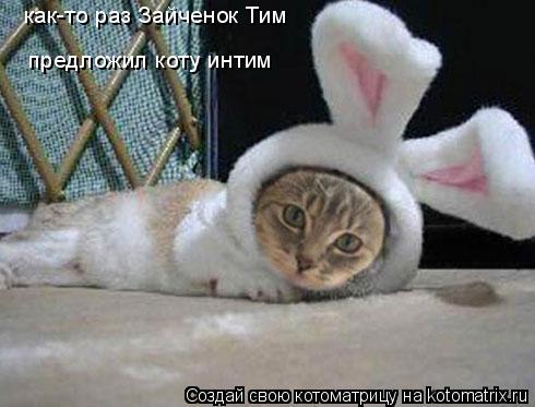 как-то раз Зайченок Тим предложил коту интим... Котоматрица: как-то раз Зайченок Тим предложил коту интим