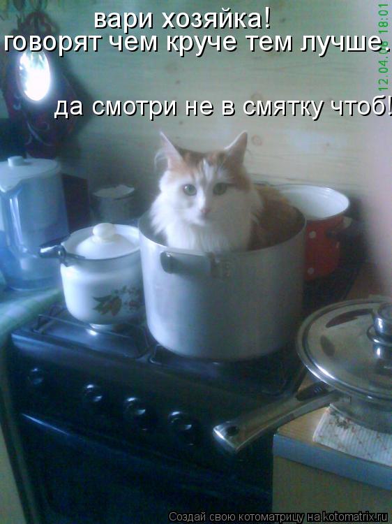 вари хозяйка! говорят чем круче тем лучше. да смотри не в смятку чтоб!... Котоматрица: вари хозяйка! говорят чем круче тем лучше. да смотри не в смятку чтоб!