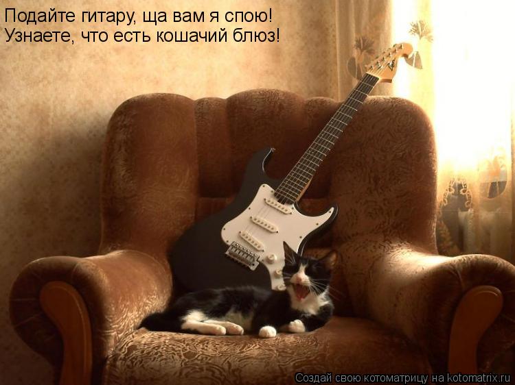 Подайте гитару, ща вам я спою! Узнаете, что есть кошачий блюз!... Котоматрица: Подайте гитару, ща вам я спою! Узнаете, что есть кошачий блюз!