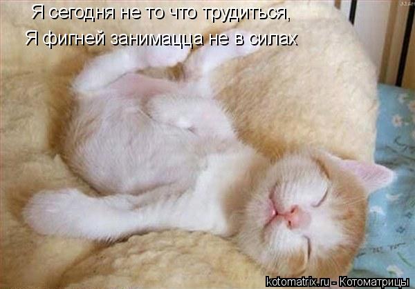 Я сегодня не то что трудиться, Я фигней занимацца не в силах... Котоматрица: Я сегодня не то что трудиться, Я фигней занимацца не в силах