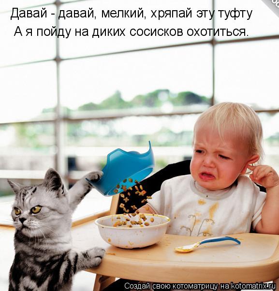 Давай - давай, мелкий, хряпай эту туфту А я пойду на диких сосисков охотиться.... Котоматрица: Давай - давай, мелкий, хряпай эту туфту А я пойду на диких сосисков охотиться.