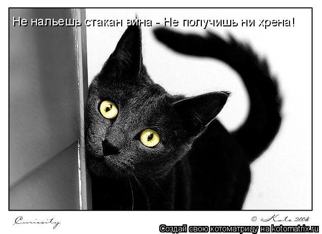 Не нальешь стакан вина - Не получишь ни хрена!... Котоматрица: Не нальешь стакан вина - Не получишь ни хрена!