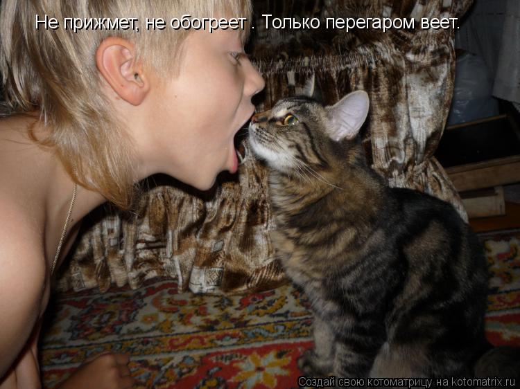 Не прижмет, не обогреет — Только перегаром веет.... Котоматрица: Не прижмет, не обогреет — Только перегаром веет.