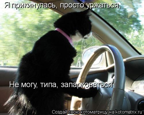 Я прикинулась, просто уржаться, Не могу, типа, запарковаться... Котоматрица: Я прикинулась, просто уржаться, Не могу, типа, запарковаться
