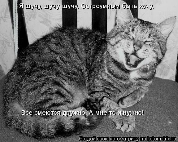 Котоматрица: Я шучу, шучу, шучу, Остроумным быть хочу, Все смеются дружно, А мне то и нужно!