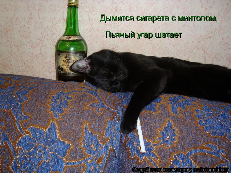 Котоматрица: Дымится сигарета с минтолом Дымится сигарета с минтолом, Пьяный угар шатает