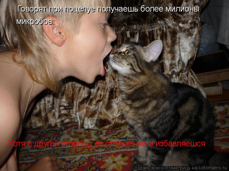 Котоматрица: Говорят при поцелуе получаешь более милионы Говорят при поцелуе получаешь более милионы микробов. Хотя с другой стороны от столько же и из