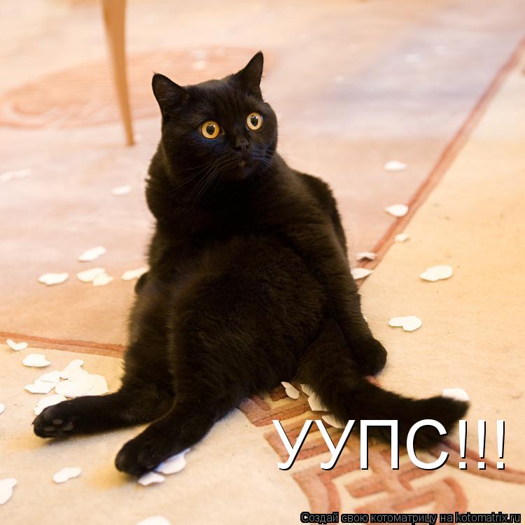 УУПС!!!... Котоматрица: УУПС!!!