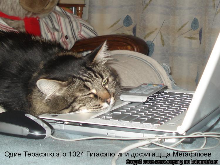 Один Терафлю это 1024 Гигафлю или дофигищща Мегафлюев... Котоматрица: Один Терафлю это 1024 Гигафлю или дофигищща Мегафлюев