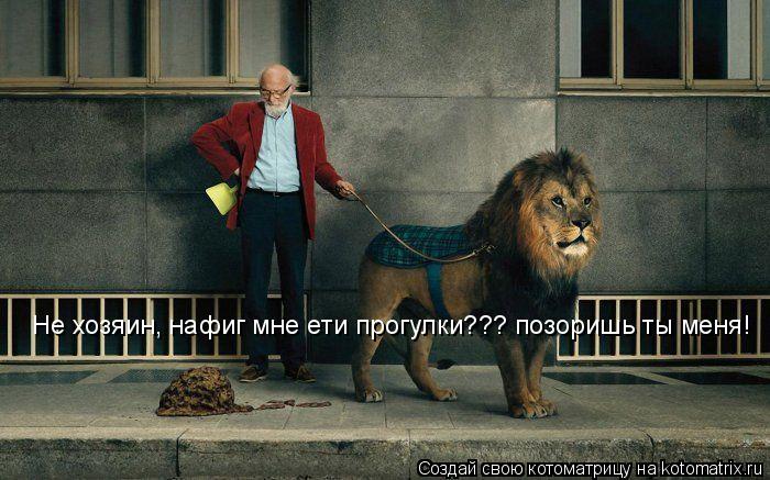 Не хозяин, нафиг мне ети прогулки??? позоришь ты меня!... Котоматрица: Не хозяин, нафиг мне ети прогулки??? позоришь ты меня!