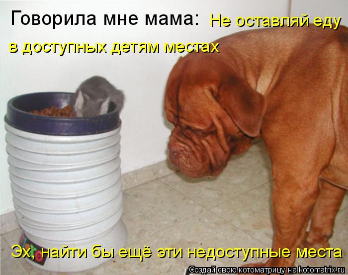 Говорила мне мама: Не оставляй еду в доступных детям местах Эх, найти бы ещё эти недоступные места... Котоматрица: Говорила мне мама: Не оставляй еду в доступных детям местах Эх, найти бы ещё эти недоступные места