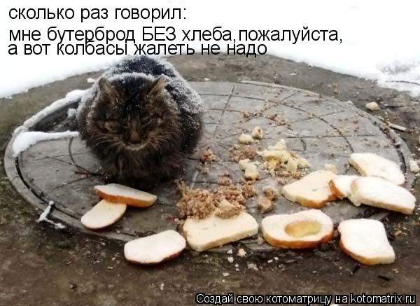 сколько раз говорил: мне бутерброд БЕЗ хлеба,пожалуйста, а вот колбасы жалеть не надо... Котоматрица: сколько раз говорил: мне бутерброд БЕЗ хлеба,пожалуйста, а вот колбасы жалеть не надо