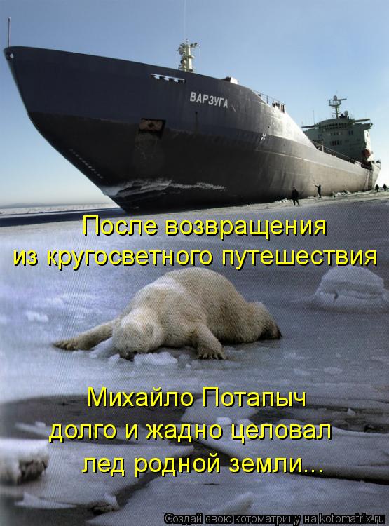 После возвращения из кругосветного путешествия Михайло Потапыч долго и жадно целовал лед родной зе... Котоматрица: После возвращения из кругосветного путешествия Михайло Потапыч долго и жадно целовал лед родной земли...