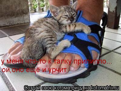 ой,оно ещё и урчит у меня что-то к тапку прилипло...... Котоматрица: ой,оно ещё и урчит у меня что-то к тапку прилипло...