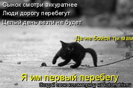 Сынок смотри аккуратнее Люди дорогу перебегут Целый день везти не будет Да не бойся ты мам Я им п... Котоматрица: Сынок смотри аккуратнее Люди дорогу перебегут Целый день везти не будет Да не бойся ты мам Я им первый перебегу