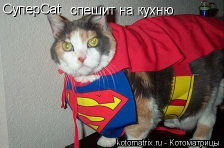 СуперCat спешит на кухню... Котоматрица: СуперCat спешит на кухню