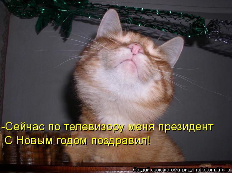 -Сейчас по телевизору меня президент С Новым годом поздравил!... Котоматрица: -Сейчас по телевизору меня президент С Новым годом поздравил!