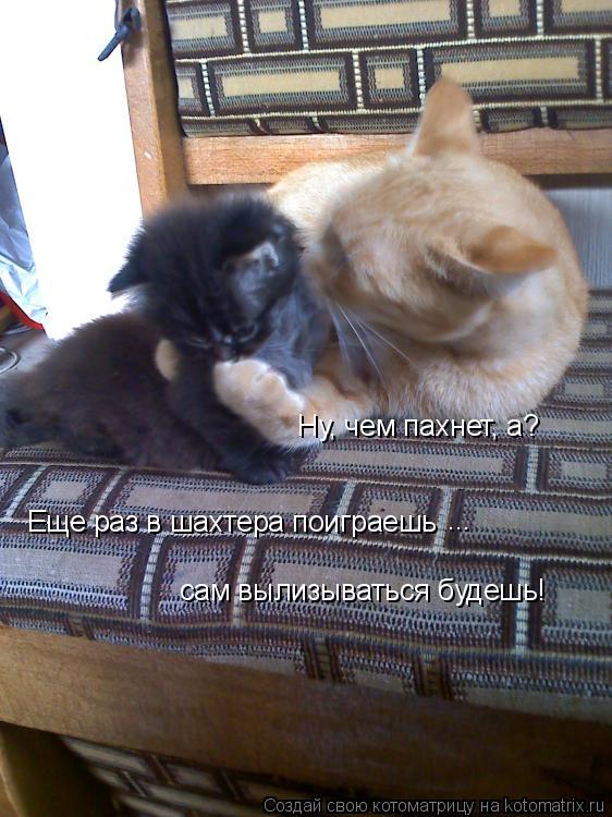 Ну, чем пахнет, а?Ещё раз хозяйке втапки нагадишь Ну, чем пахнет, а? Еще раз в шахтера поиграешь ... ... Котоматрица: Ну, чем пахнет, а?Ещё раз хозяйке втапки нагадишь Ну, чем пахнет, а? Еще раз в шахтера поиграешь ... сам вылизываться будешь!