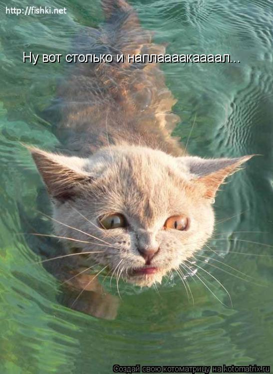 Ну вот столько и наплаааакаааал...... Котоматрица: Ну вот столько и наплаааакаааал...