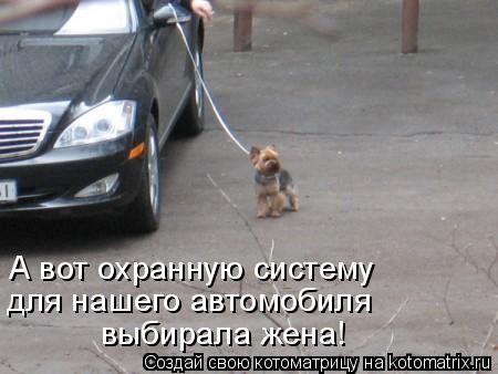 А вот охранную систему для нашего автомобиля выбирала жена!... Котоматрица: А вот охранную систему для нашего автомобиля выбирала жена!