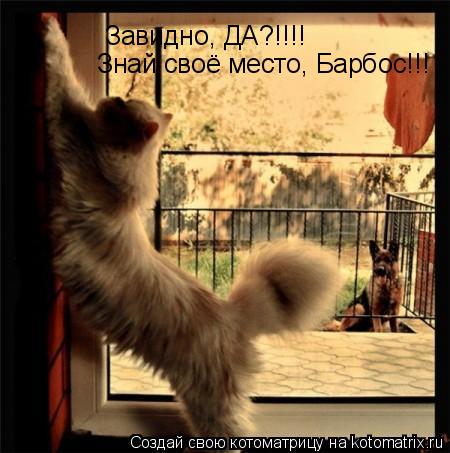 Завидно, ДА?!!!! Знай своё место, Барбос!!!... Котоматрица: Завидно, ДА?!!!! Знай своё место, Барбос!!!