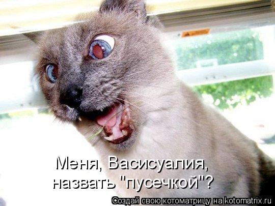 Меня, Васисуалия, назвать "пусечкой"?... Котоматрица: Меня, Васисуалия, назвать "пусечкой"?