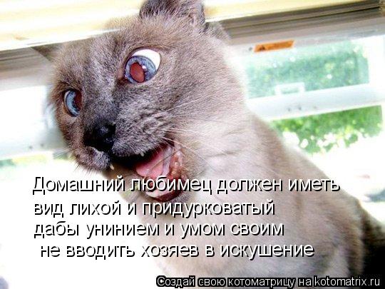 Домашний любимец должен иметь вид лихой и придурковатый дабы унинием и умом своим не вводить хозяев в... Котоматрица: Домашний любимец должен иметь вид лихой и придурковатый дабы унинием и умом своим не вводить хозяев в искушение