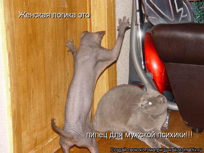 Женская логика это пипец для мужской психики!!!... Котоматрица: Женская логика это пипец для мужской психики!!!