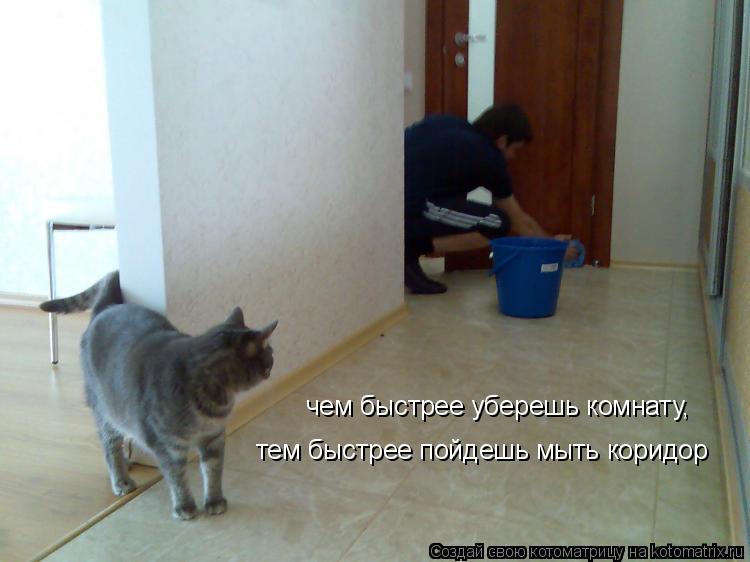 чем быстрее уберешь комнату, тем быстрее пойдешь мыть коридор... Котоматрица: чем быстрее уберешь комнату, тем быстрее пойдешь мыть коридор