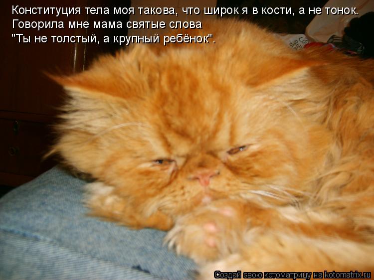 Конституция тела моя такова, что широк я в кости, а не тонок. Говорила мне мама святые слова "Ты не... Котоматрица: Конституция тела моя такова, что широк я в кости, а не тонок. Говорила мне мама святые слова "Ты не толстый, а крупный ребёнок".