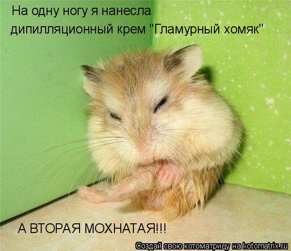 На одну ногу я нанесла дипилляционный крем "Гламурный хомяк" А ВТОРАЯ МОХНАТАЯ!!!... Котоматрица: На одну ногу я нанесла дипилляционный крем "Гламурный хомяк" А ВТОРАЯ МОХНАТАЯ!!!