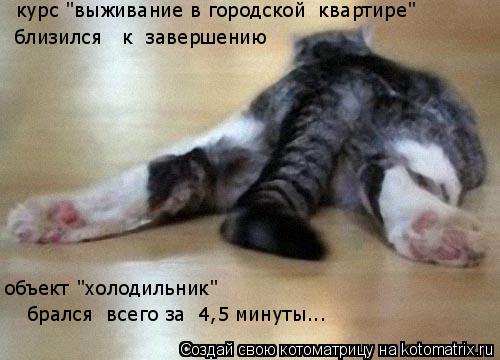 курс "выживание в городской квартире" близился к завершению объект "холодильник" брался всего ... Котоматрица: курс "выживание в городской квартире" близился к завершению объект "холодильник" брался всего за 4,5 минуты...
