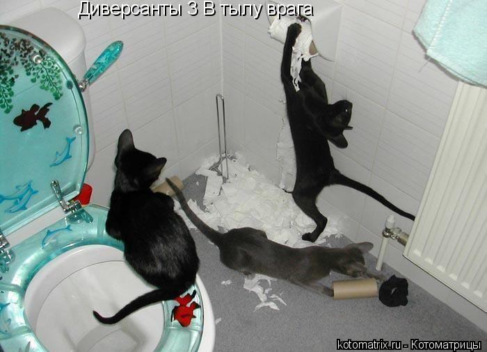 Диверсанты 3 В тылу врага... Котоматрица: Диверсанты 3 В тылу врага