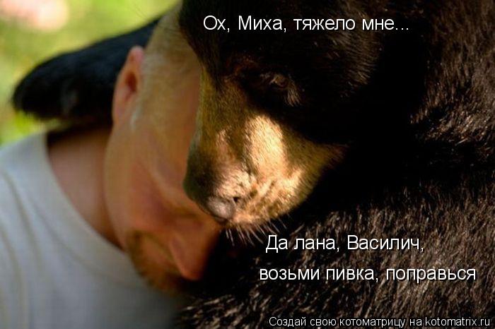Да лана, Василич, возьми пивка, поправься Ох, Миха, тяжело мне...... Котоматрица: Да лана, Василич, возьми пивка, поправься Ох, Миха, тяжело мне...