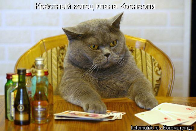 Котоматрица: Крёстный котец клана Корнеоли
