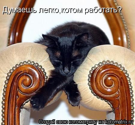 Котоматрица: Думаешь легко,котом работать?