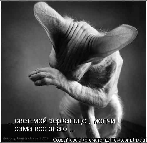 Котоматрица: ...свет-мой зеркальце , молчи ! сама все знаю ...