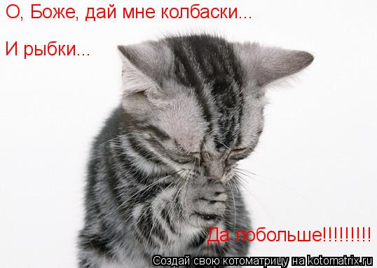 Котоматрица: О, Боже, дай мне колбаски... И рыбки... Да побольше!!!!!!!!!