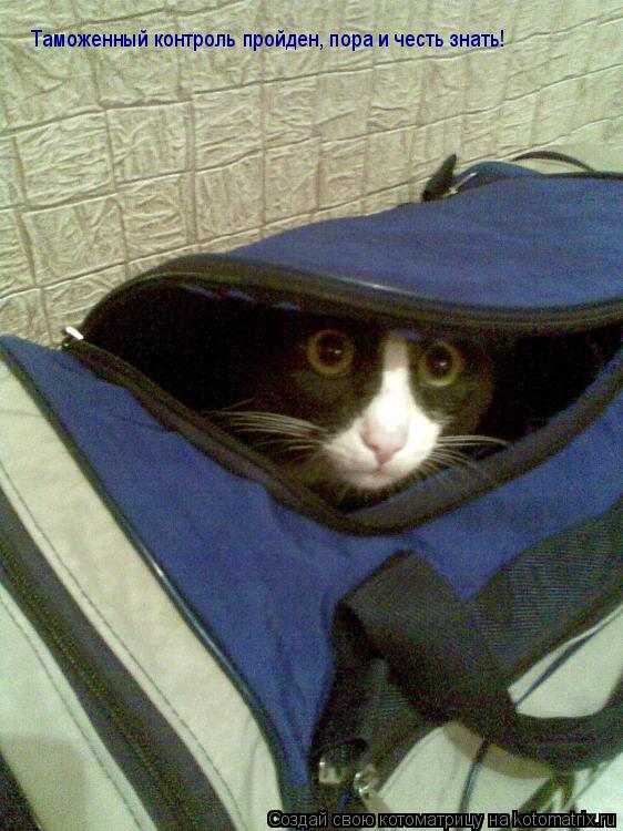 Котоматрица: Таможенный контроль пройден, пора и честь знать!